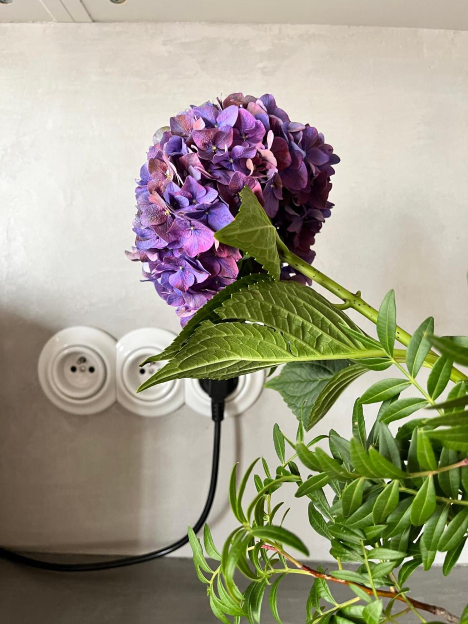 Apartment Heart Of Le Marais - Modern & Cosy Nest In The Old *